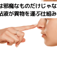 鼻水の役割と鼻の粘液が異物を運ぶ仕組み