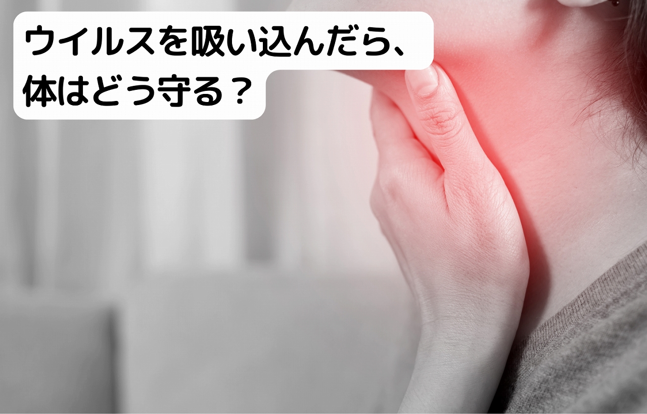 のどに手を当てる女性の写真。「ウイルスを吸い込んだら、体はどう守る？」というタイトル入り画像